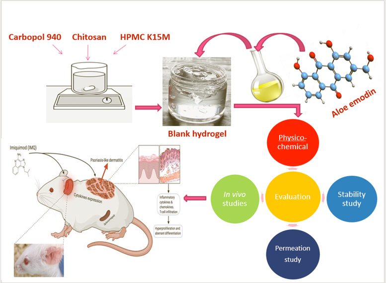 Graphical Abstract